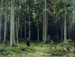 Het Bos van Gravin Mordvinov